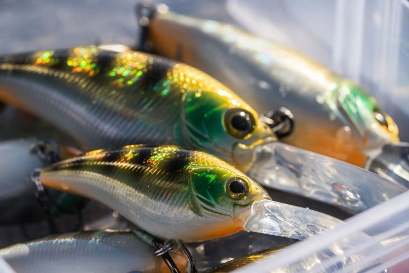 Shimano Yasei Cover Crank F 6 Shimano Yasei Cover Crank F - Bilde 4