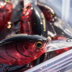 Shimano Yasei Cover Crank F 12 Shimano Yasei Cover Crank F -Isfiskeri hjul Butikk LUYASCCFSR07RBTr 5