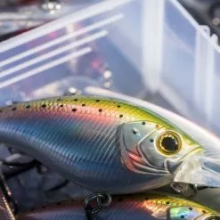 Shimano Yasei Cover Crank F 13 Shimano Yasei Cover Crank F -Isfiskeri hjul Butikk LUYASCCFSR07RBTr 6