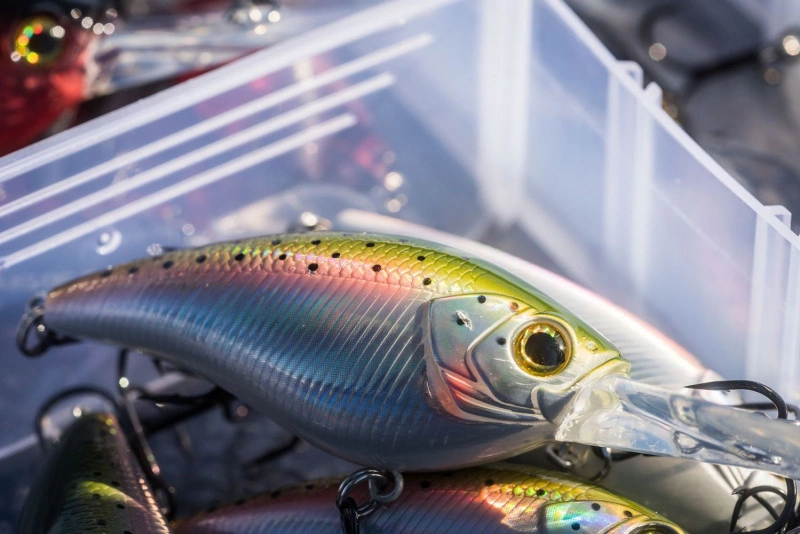 Shimano Yasei Cover Crank F 8 Shimano Yasei Cover Crank F - Bilde 6